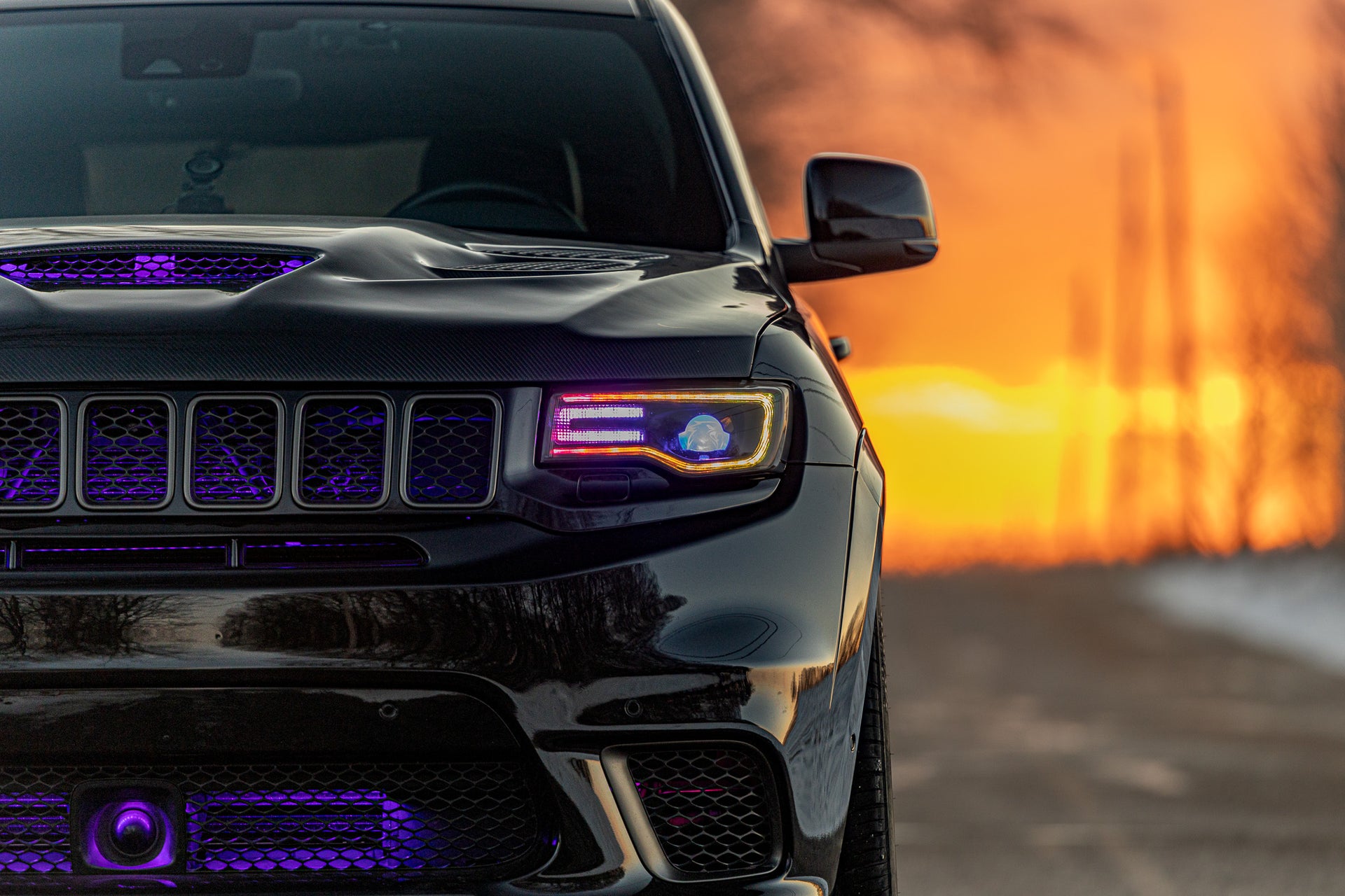 144A3026 - Panther Lights
