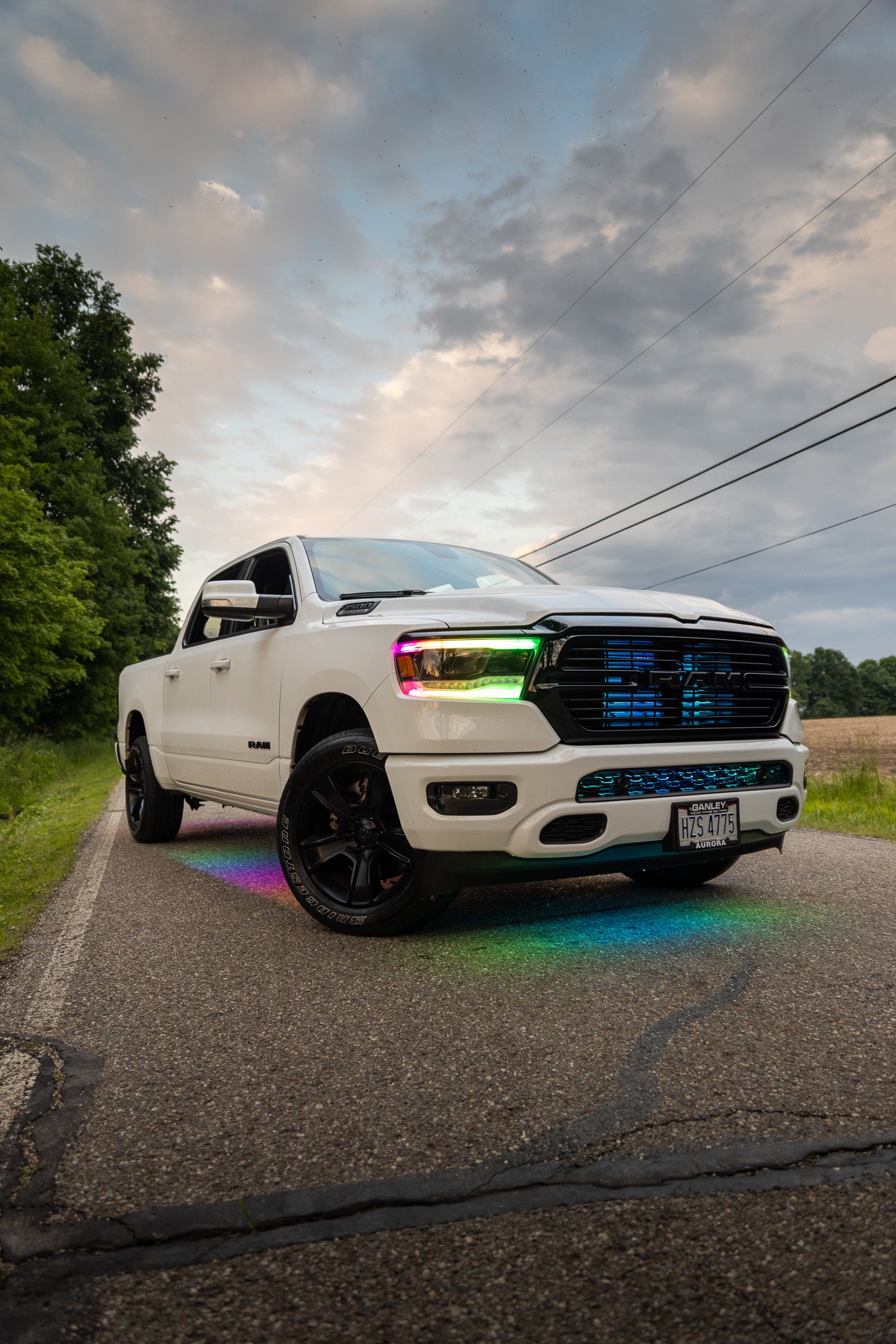 1T1A4142 - Panther Lights