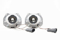 Morimoto Mini D2S 5.0 - Panther Lights